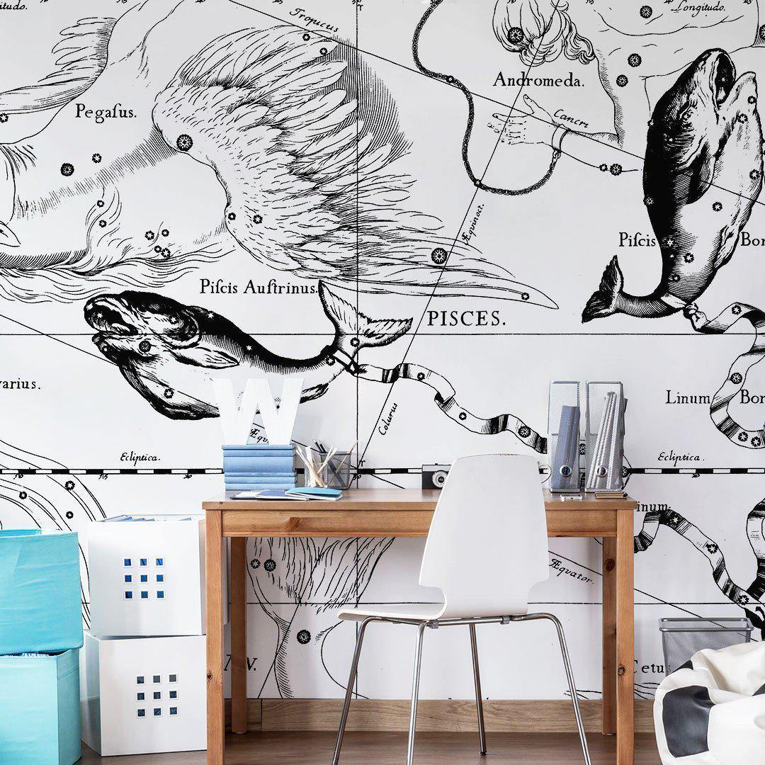 Pisces Constellation Map Wall Mural-Wall Mural-Eazywallz