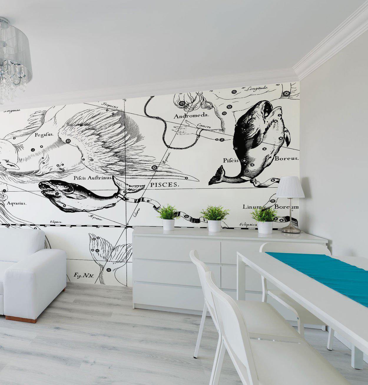 Pisces Constellation Map Wall Mural-Wall Mural-Eazywallz