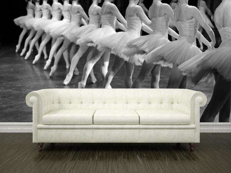 Professional Ballerinas Wall Mural-Wall Mural-Eazywallz