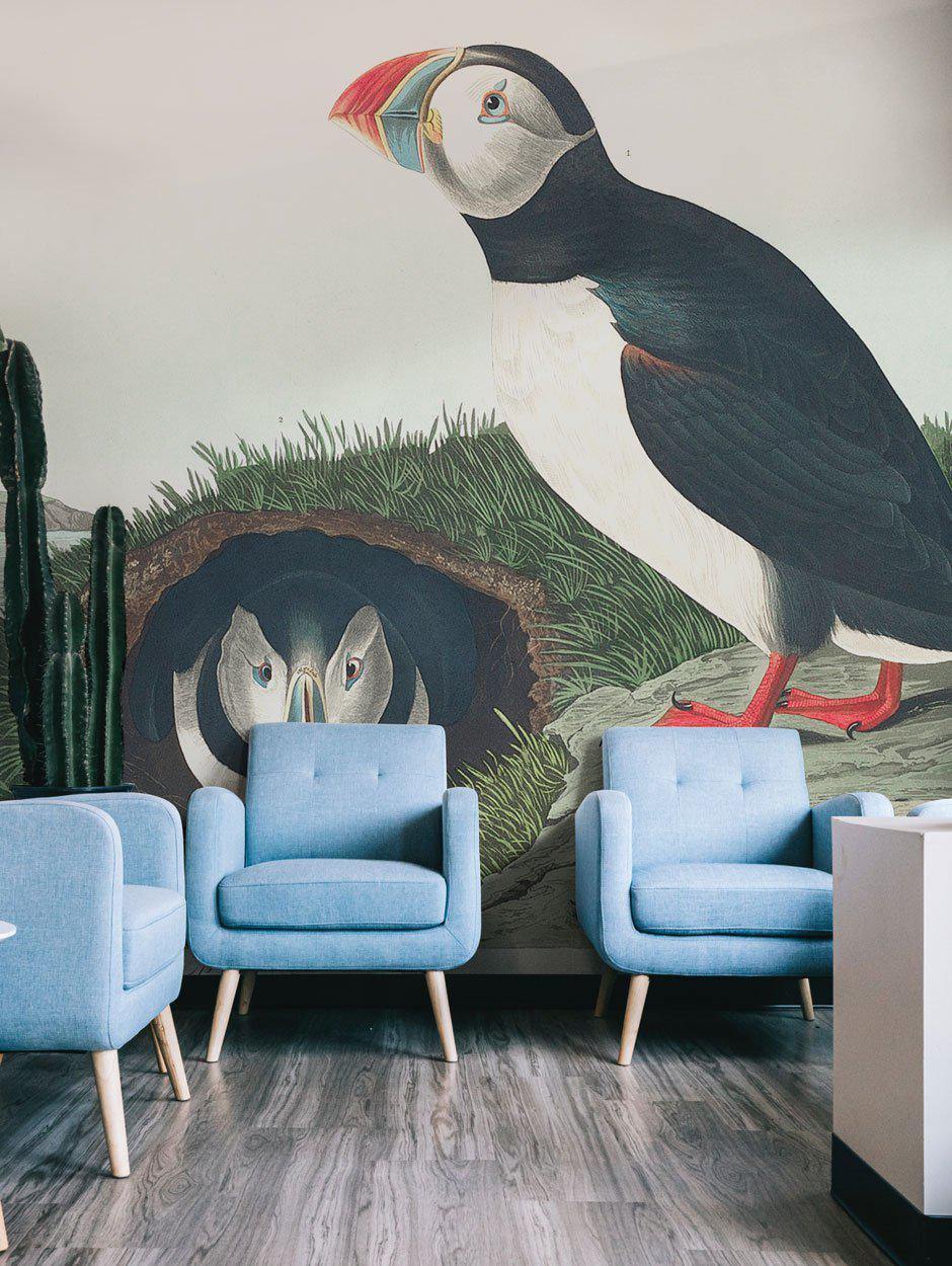 Puffer Bird Wall Mural-Wall Mural-Eazywallz