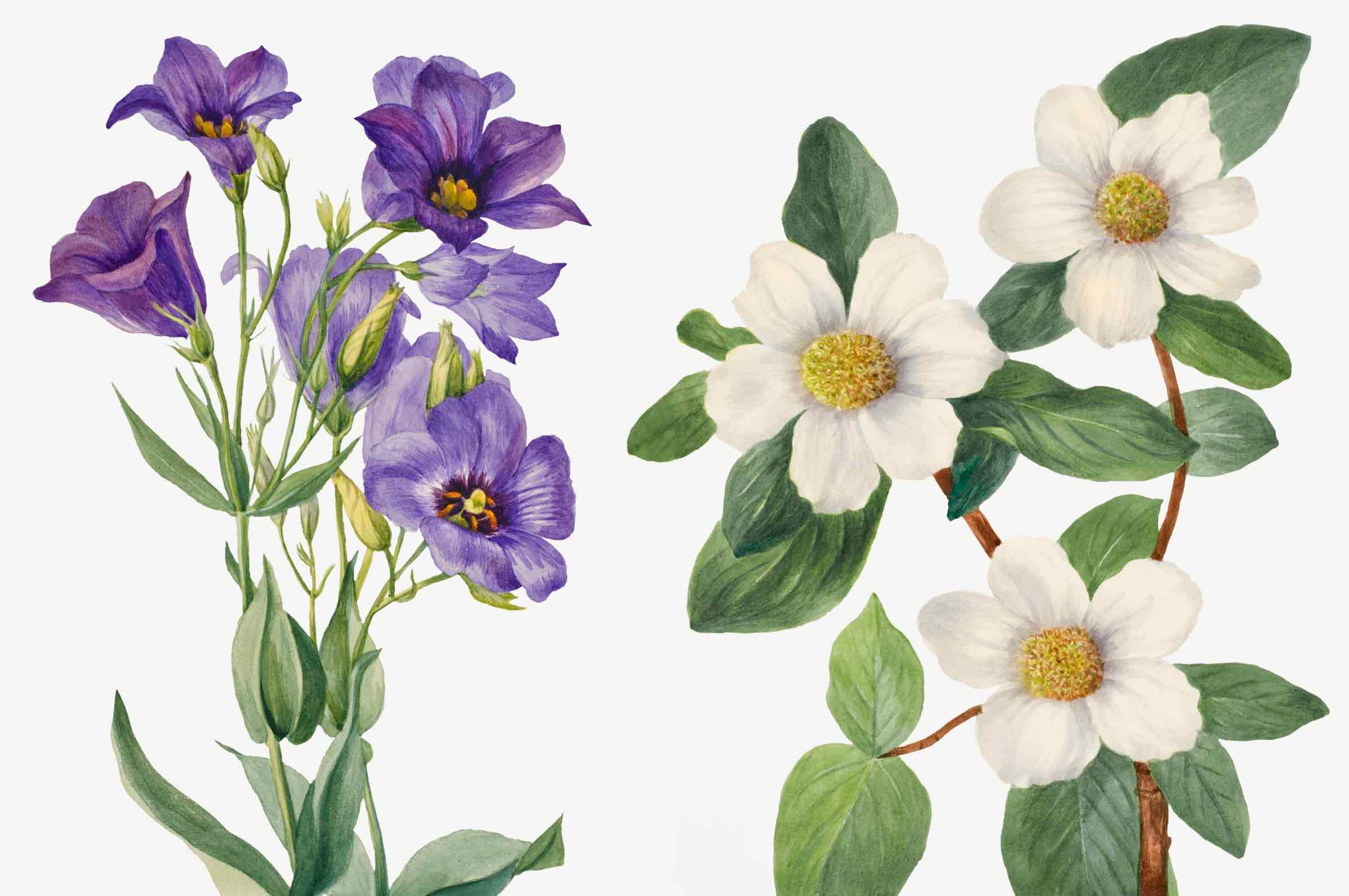 Purple Wildflowers Wall Mural-Wall Mural-Eazywallz