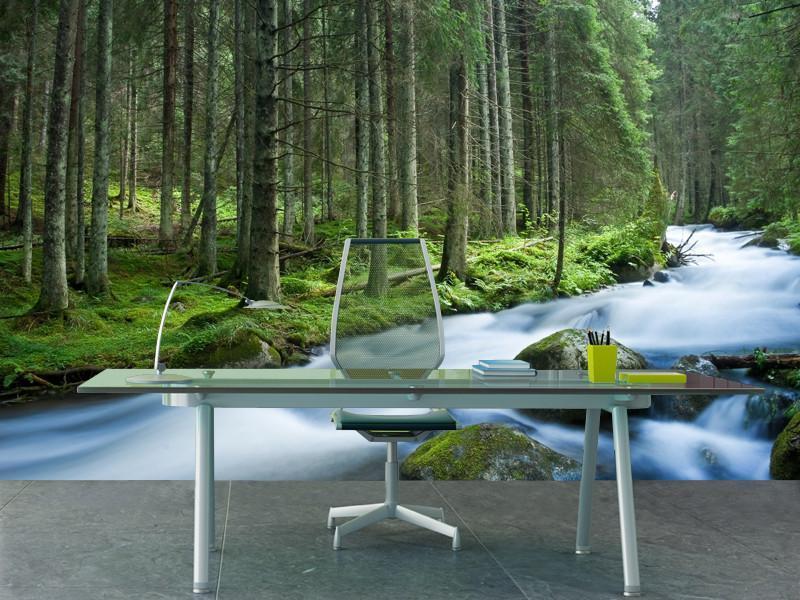 Rapid River in a Mountain Forest Wall Mural-Wall Mural-Eazywallz