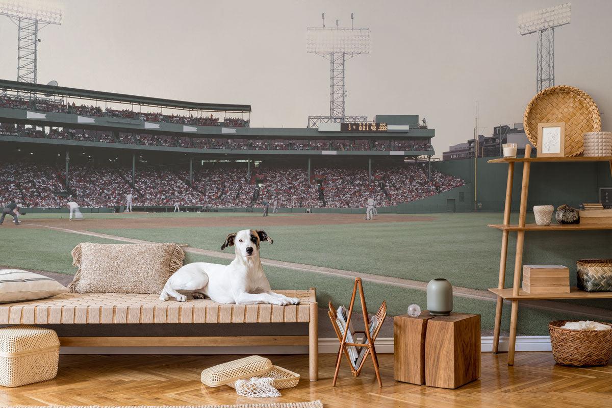 Red Sox Baseball Wall Mural-Wall Mural-Eazywallz