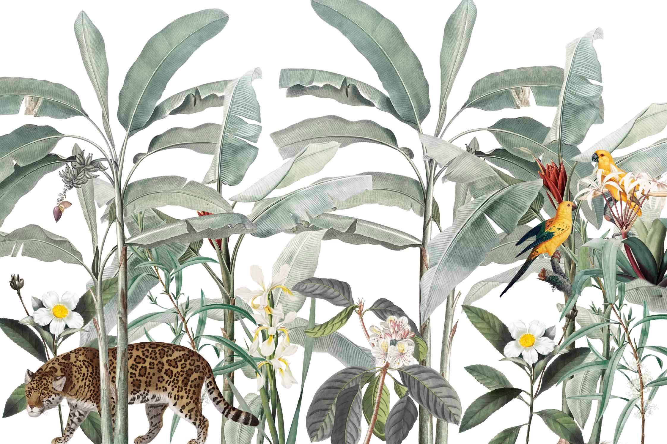 Redoute Jungle 2 Mural Wallpaper-Wall Mural-Eazywallz