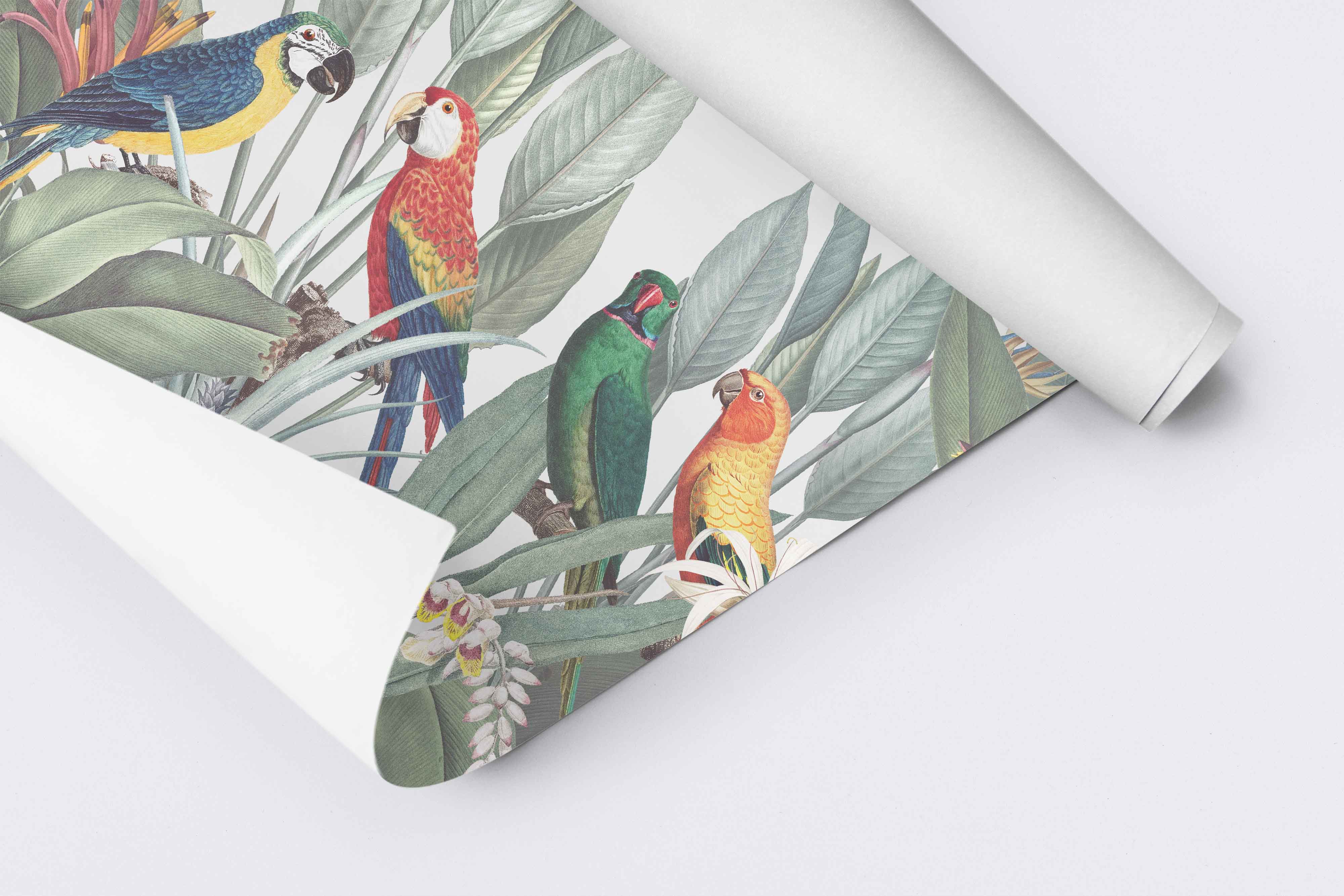 Redoute Jungle Parrots Wall Mural-Wall Mural-Eazywallz