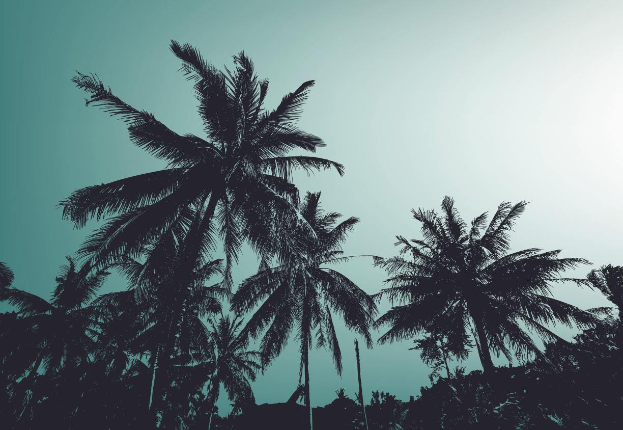 Retro Palm Trees Wall Mural-Wall Mural-Eazywallz