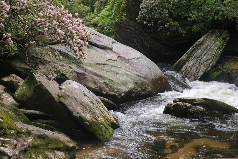 River rapids Wall Mural-Wall Mural-Eazywallz