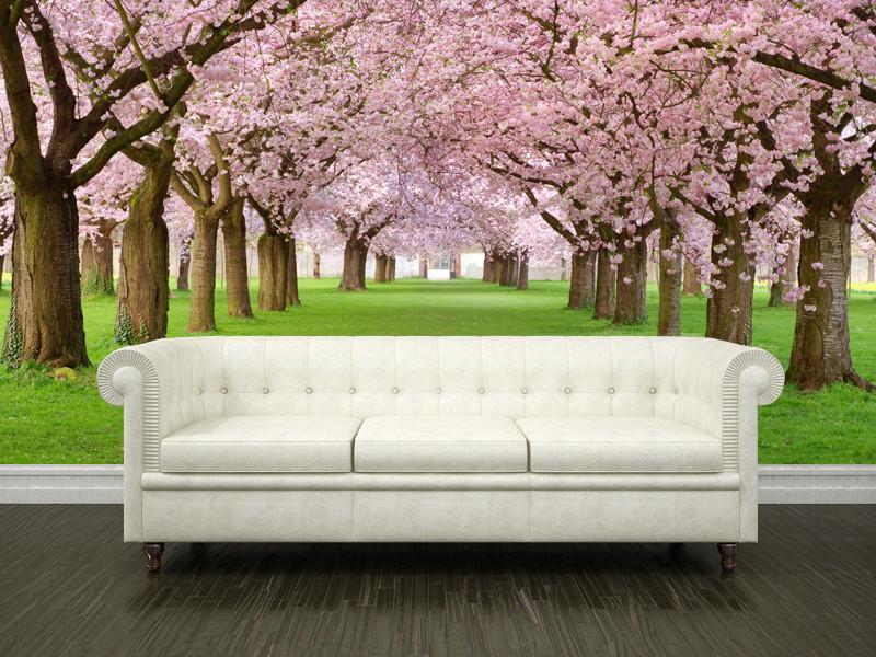 Rows of Beautifully Blossoming Cherry Trees Wall Mural-Wall Mural-Eazywallz