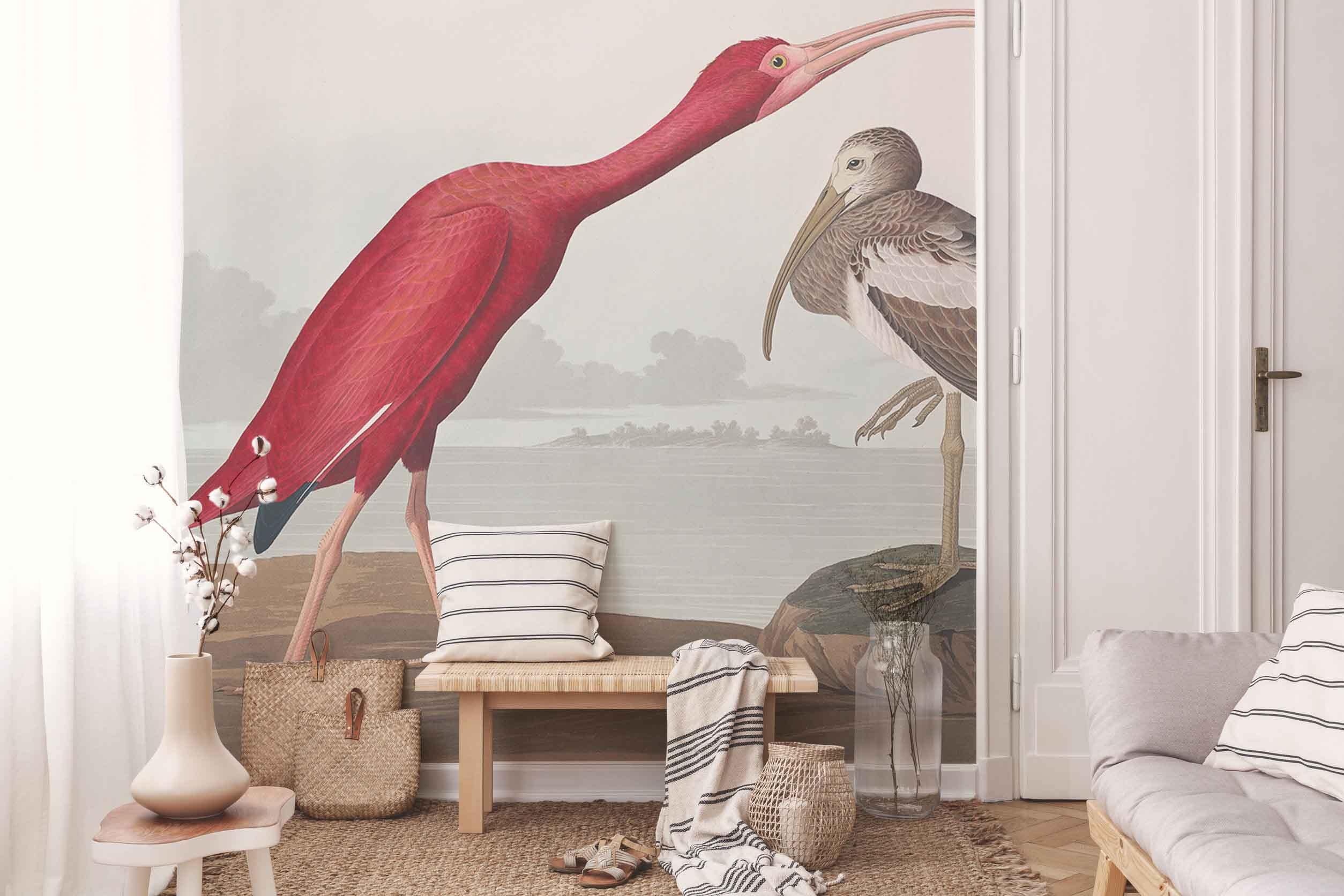 Scarlit Hibis Bird Wall Mural-Wall Mural-Eazywallz