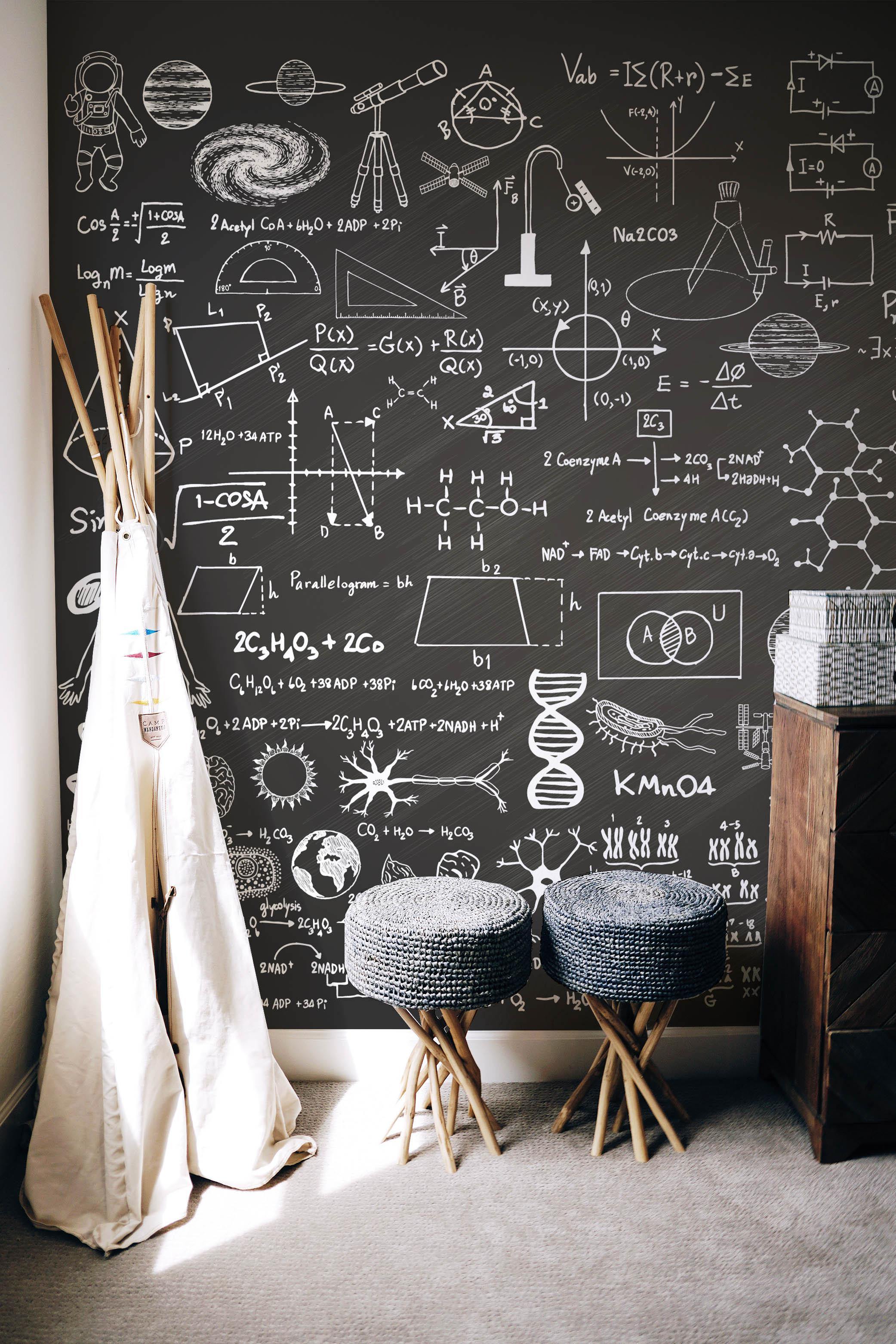 Science Chalk Board Wall Mural-Wall Mural-Eazywallz