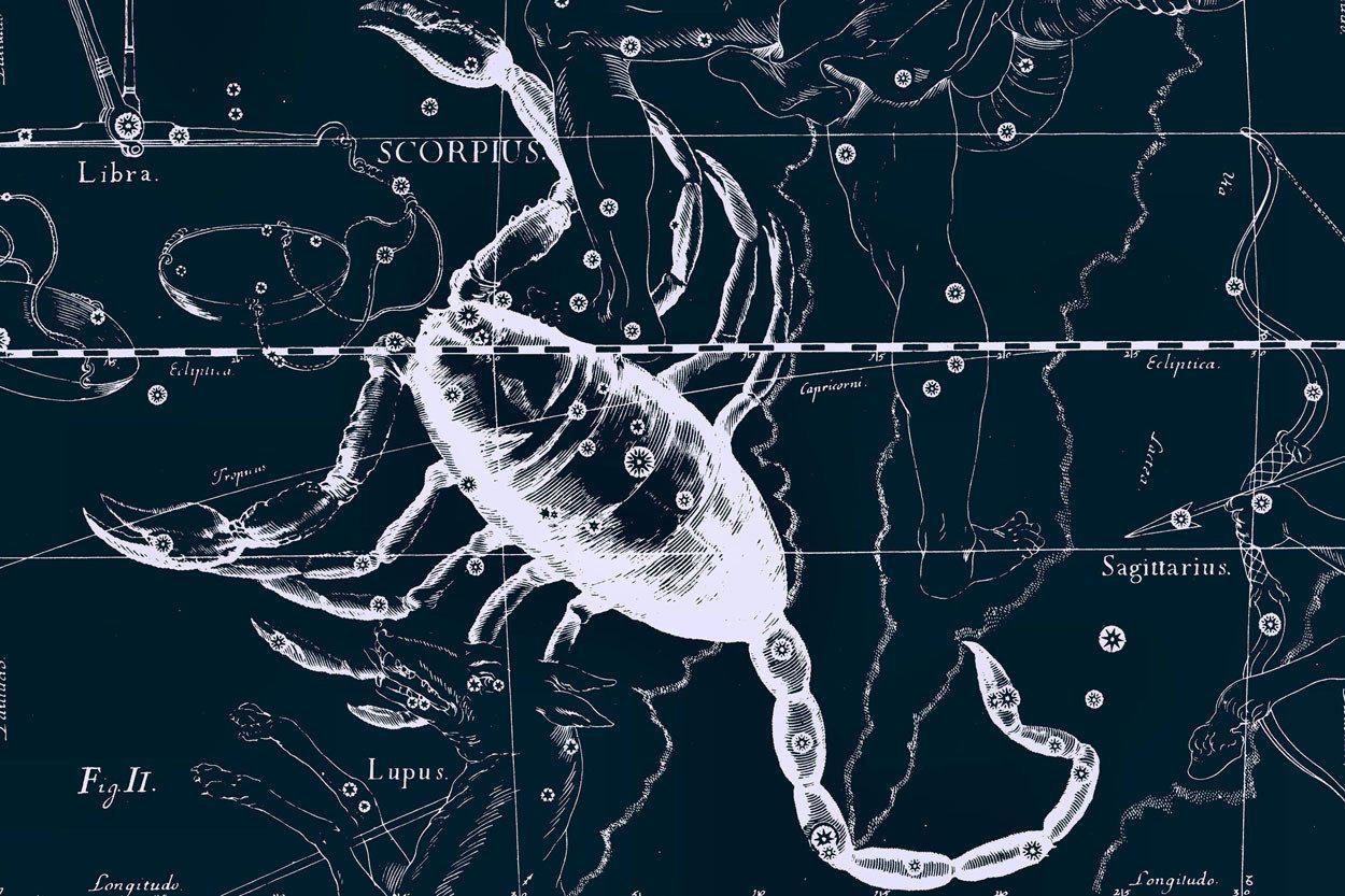 Scorpio Constellation Map in Navy Wall Mural-Wall Mural-Eazywallz