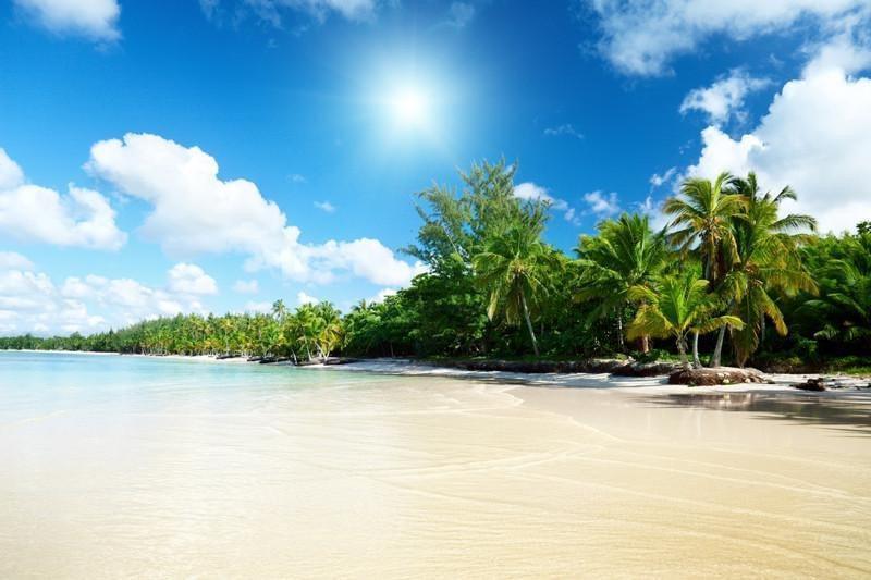 Sea and coconut palms Wall Mural-Wall Mural-Eazywallz