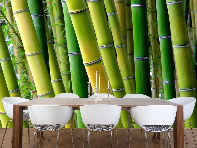 Serene Bamboo Wall Mural-Wall Mural-Eazywallz