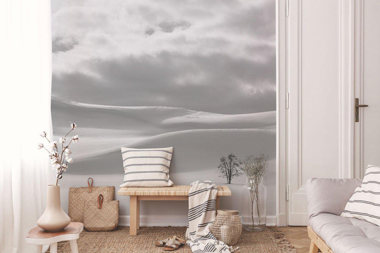 Shades of white in Hayden Valley Wall Mural-Wall Mural-Eazywallz