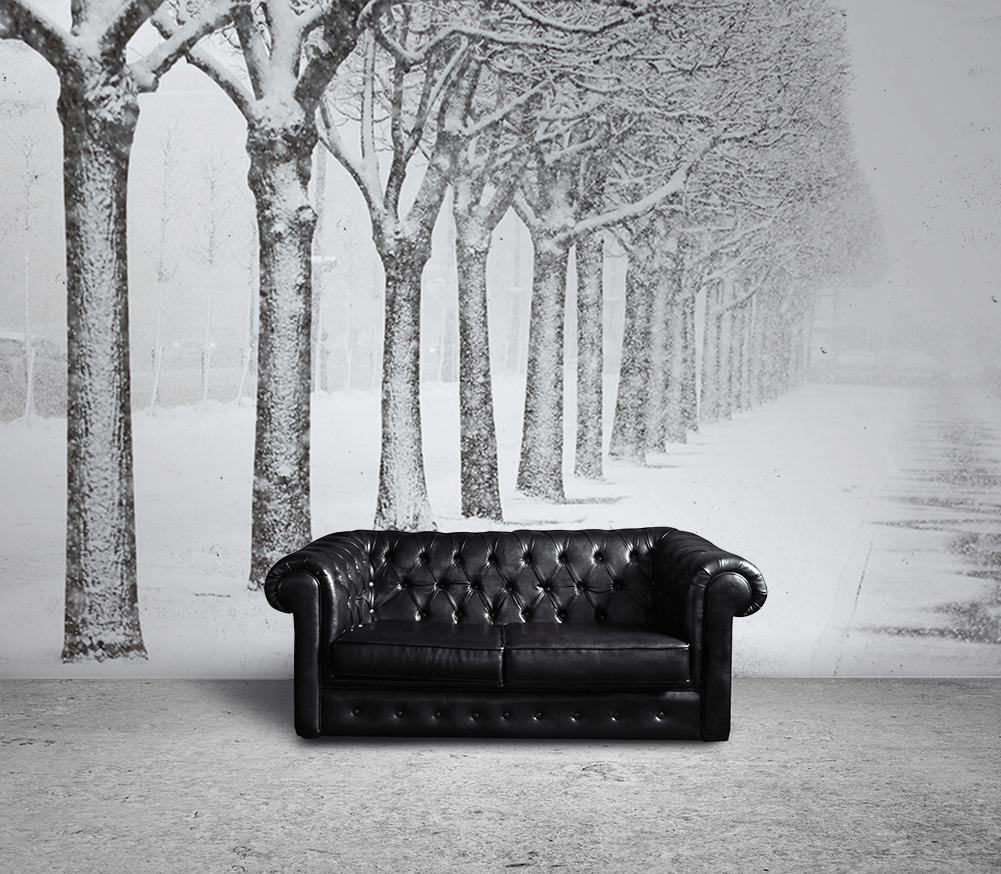 Snow Covered Park in St.Petersburg Wall Mural-Wall Mural-Eazywallz