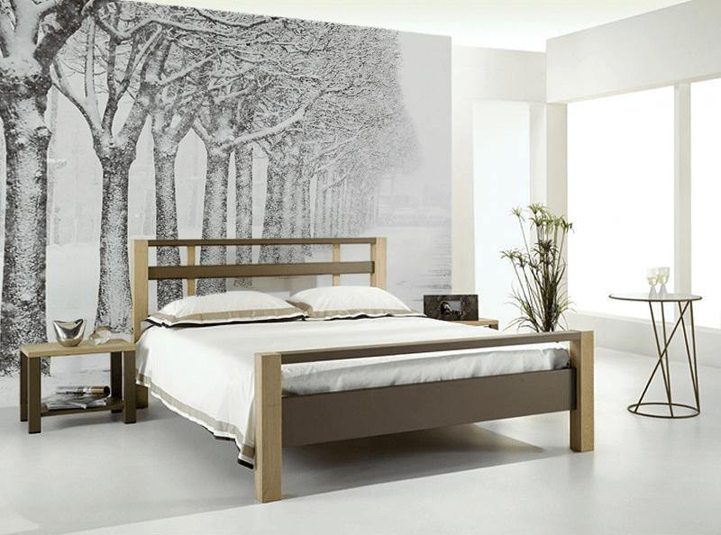 Snow Covered Park in St.Petersburg Wall Mural-Wall Mural-Eazywallz