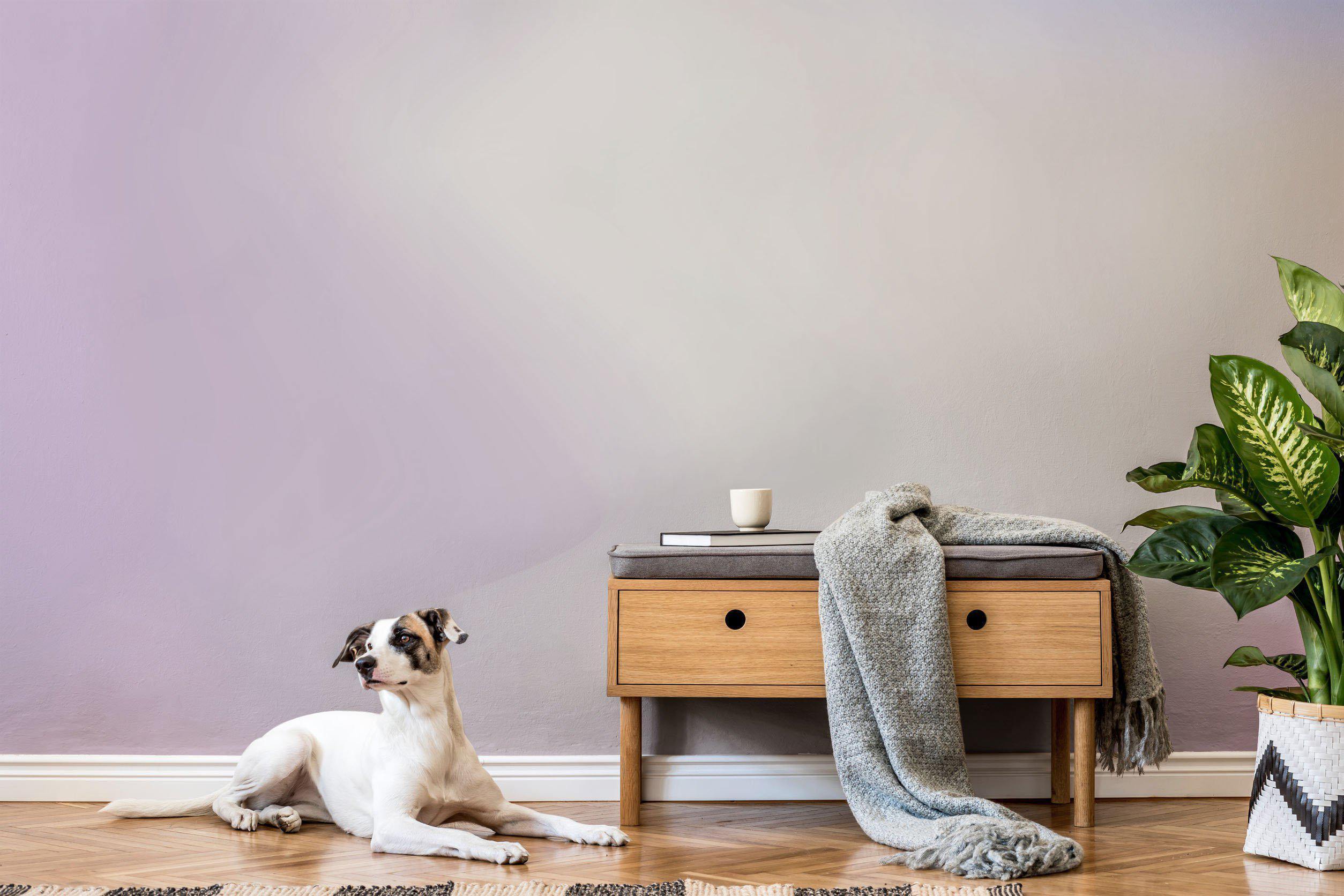 Soft Lavender Gradient #2 Wall Mural-Wall Mural-Eazywallz