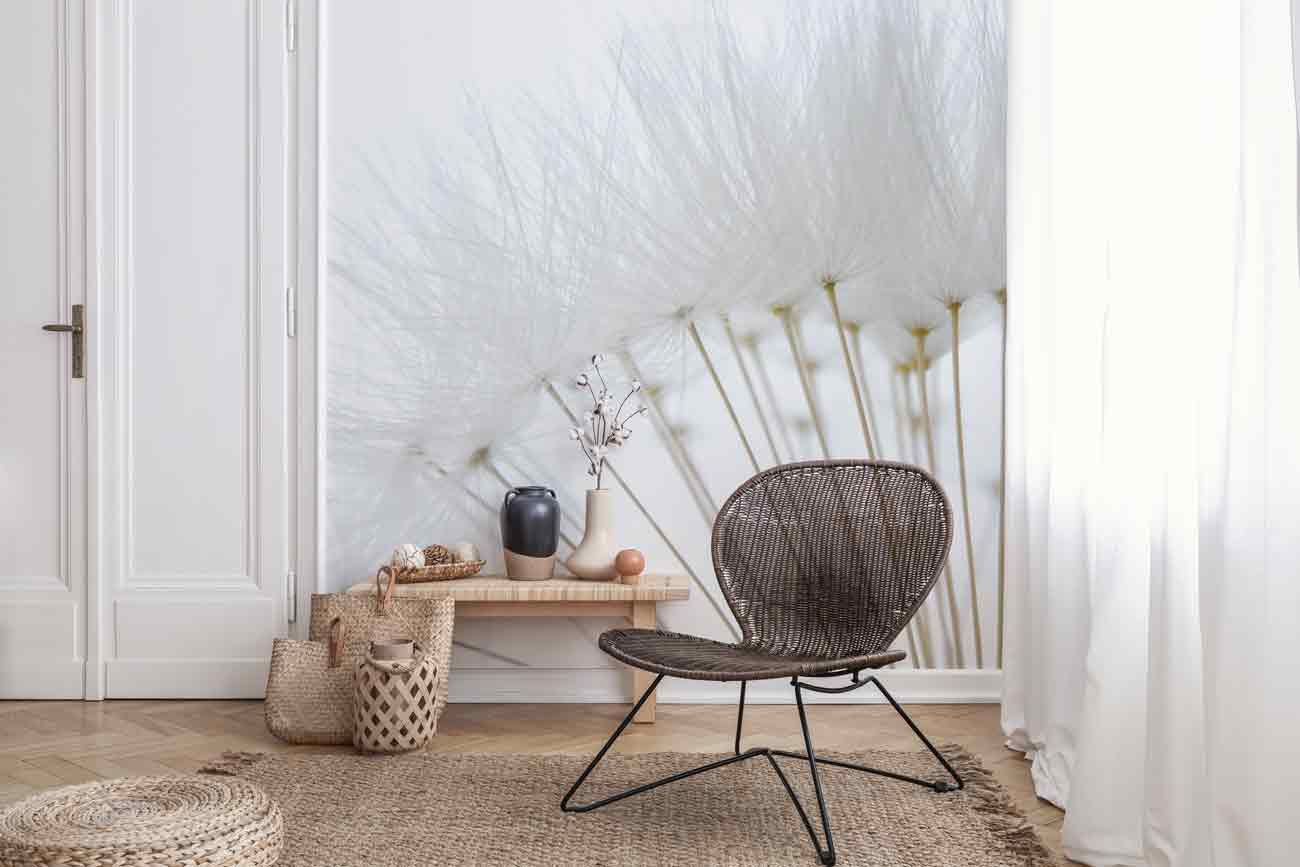 Soft white dandelion seeds Wall Mural-Wall Mural-Eazywallz
