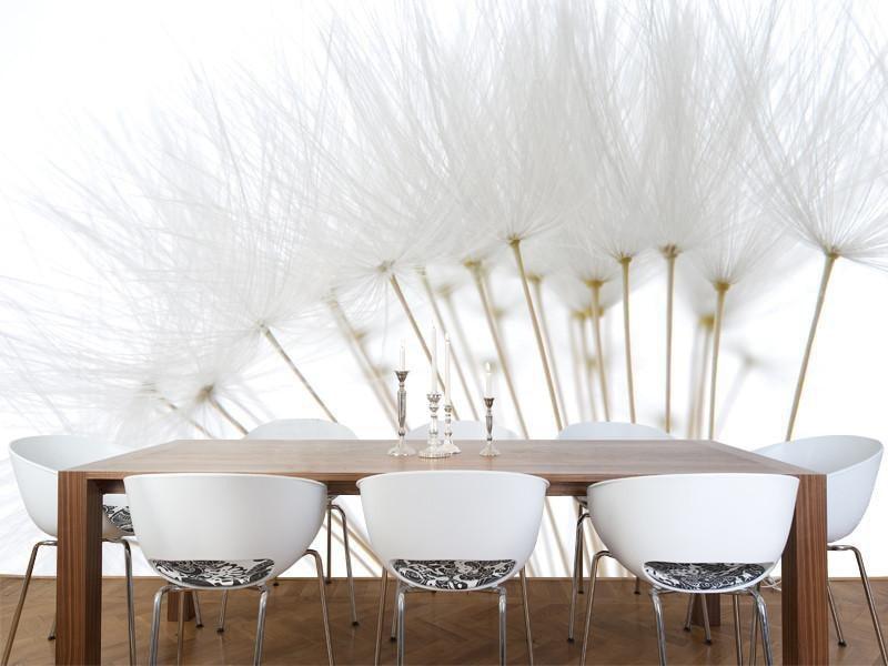 Soft white dandelion seeds Wall Mural-Wall Mural-Eazywallz