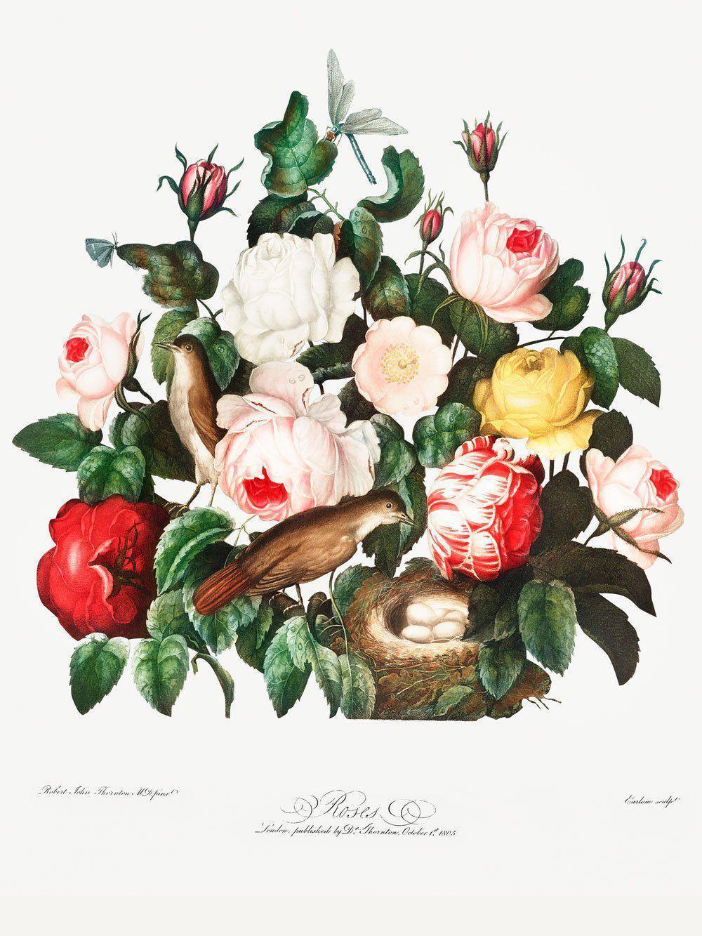 Spring Birds & Floral Wallpaper Mural-Wall Mural-Eazywallz