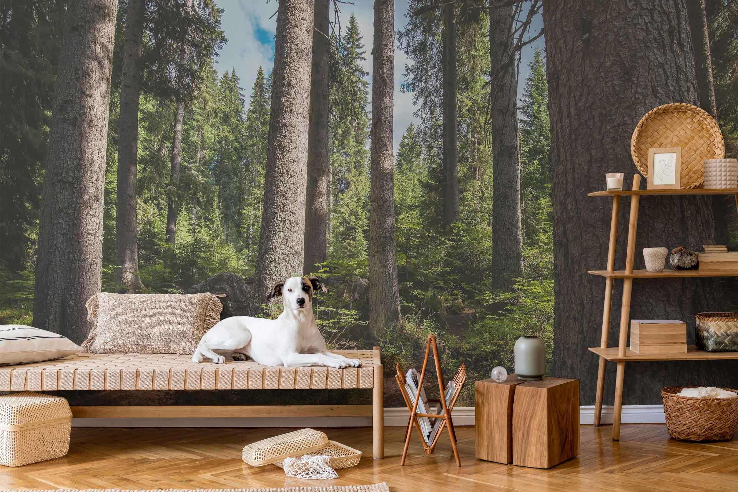 Spring Forest Wallpaper Mural-Wall Mural-Eazywallz