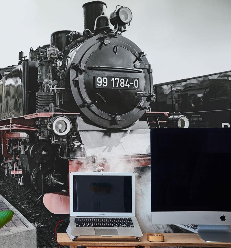 Steam Engine Train-Wall Mural-Eazywallz