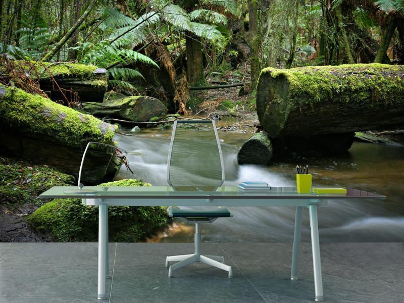 Stream in the rainforest Wall Mural-Wall Mural-Eazywallz