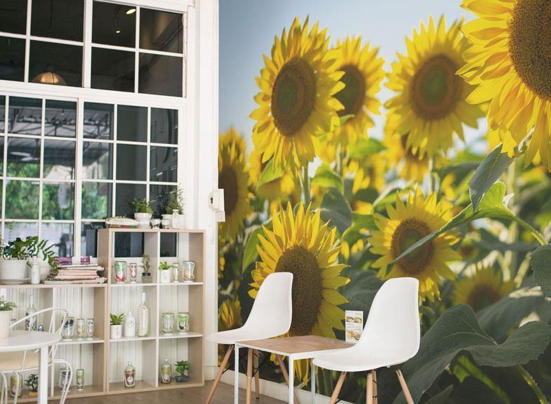 Sunflower Field Wall Mural-Wall Mural-Eazywallz