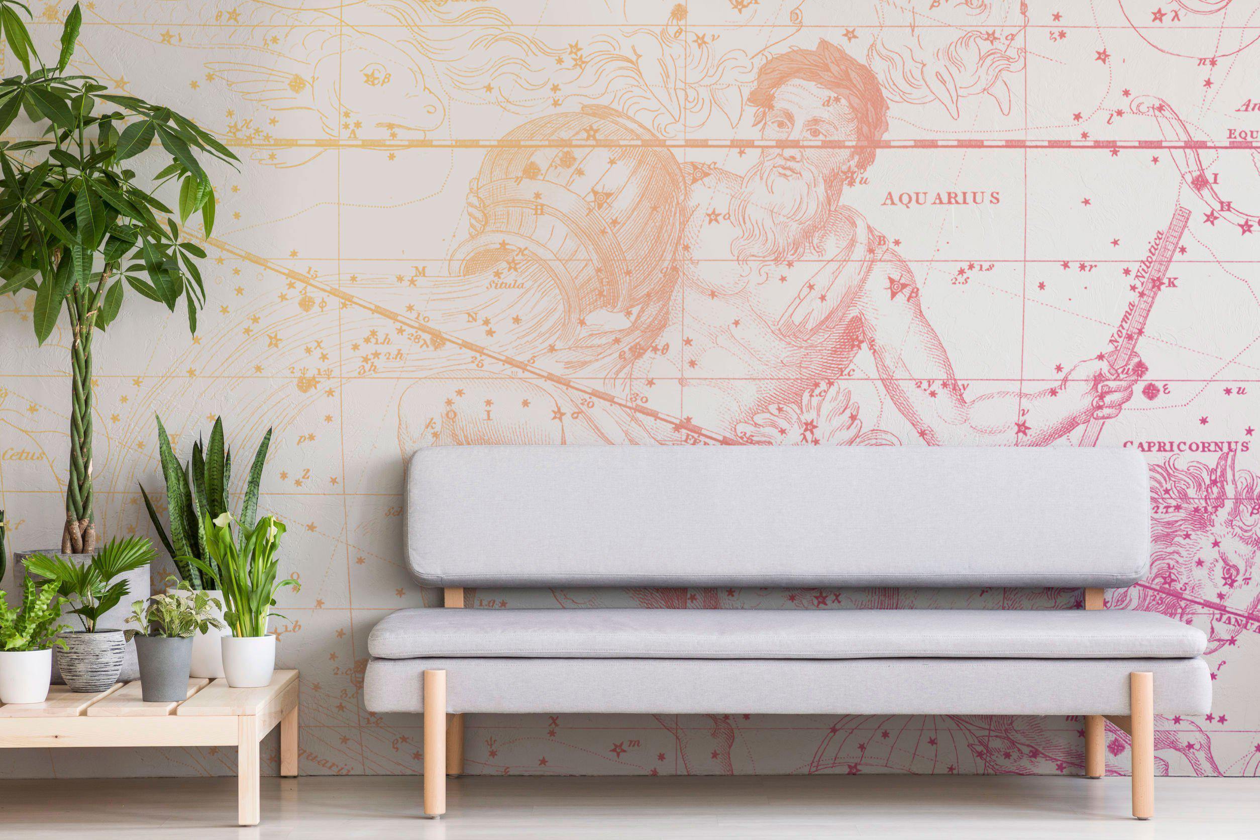 Sunrise Aquarius Astrology Wall Mural-Wall Mural-Eazywallz