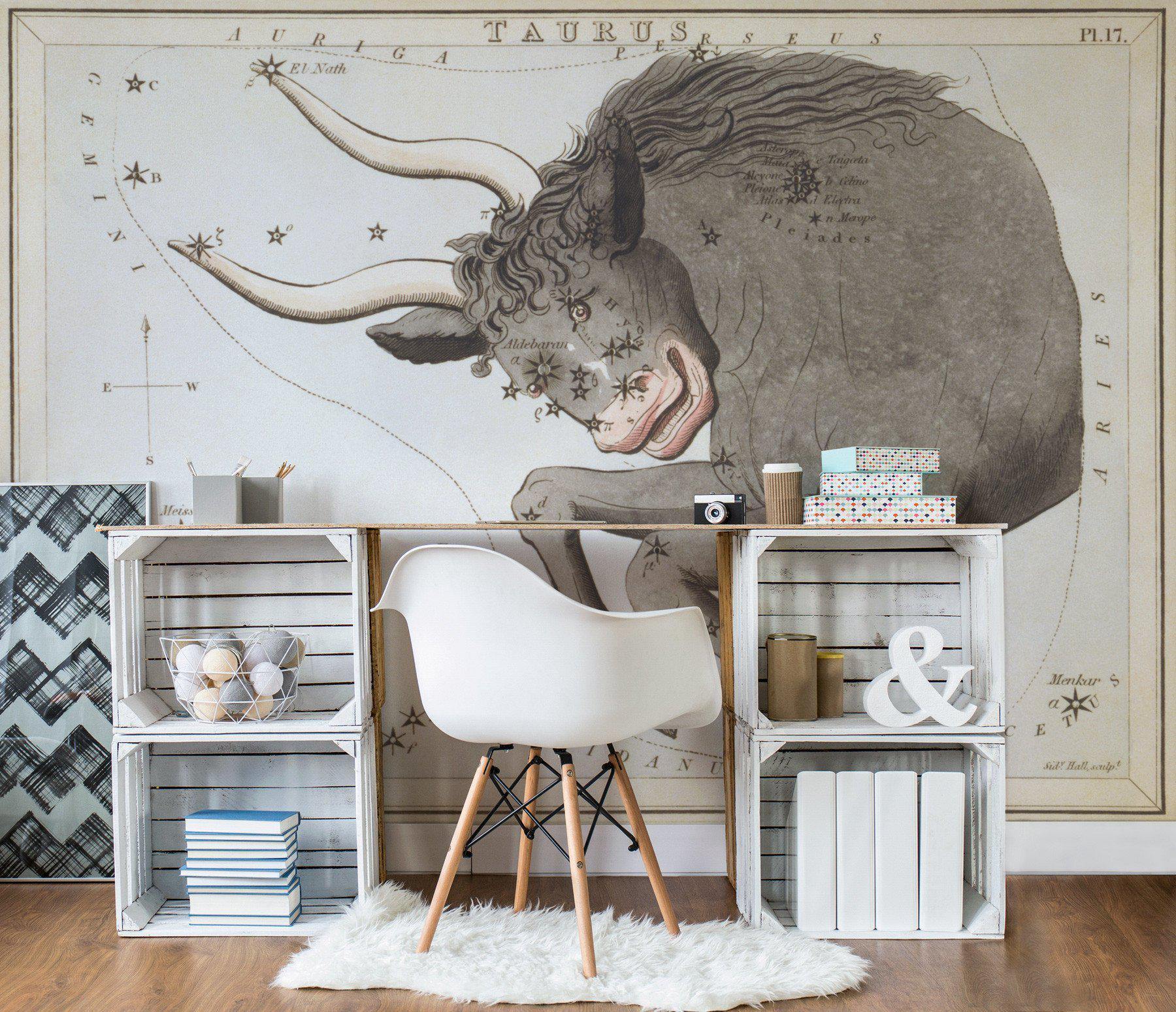 Taurus Wall Mural-Wall Mural-Eazywallz