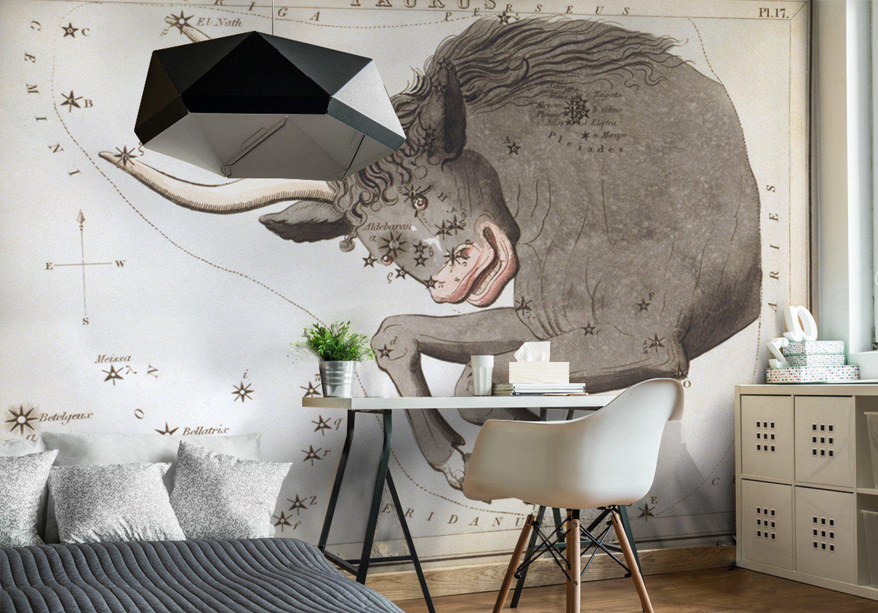 Taurus Wall Mural-Wall Mural-Eazywallz