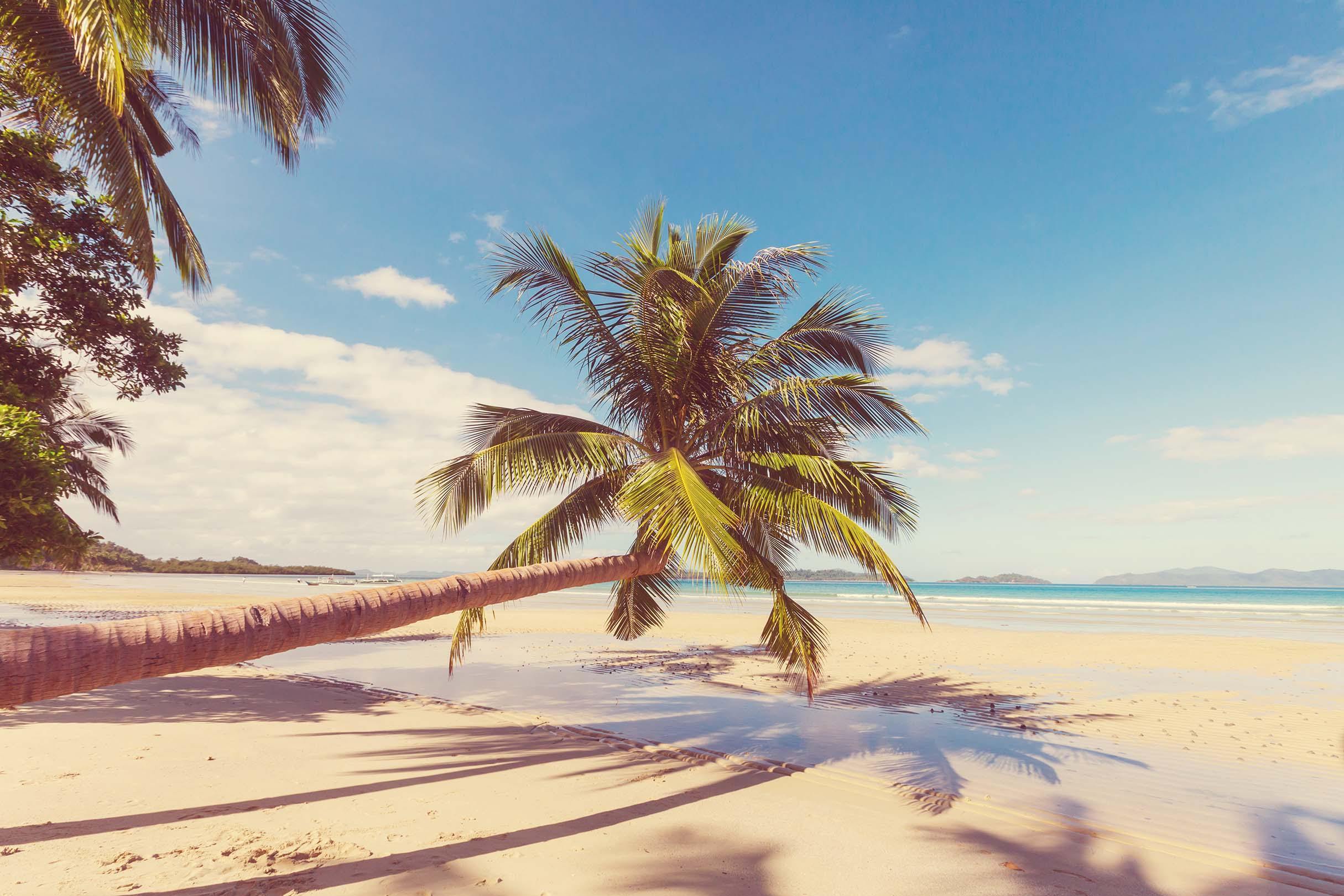 Tropical Beach 2 Wall Mural-Wall Mural-Eazywallz