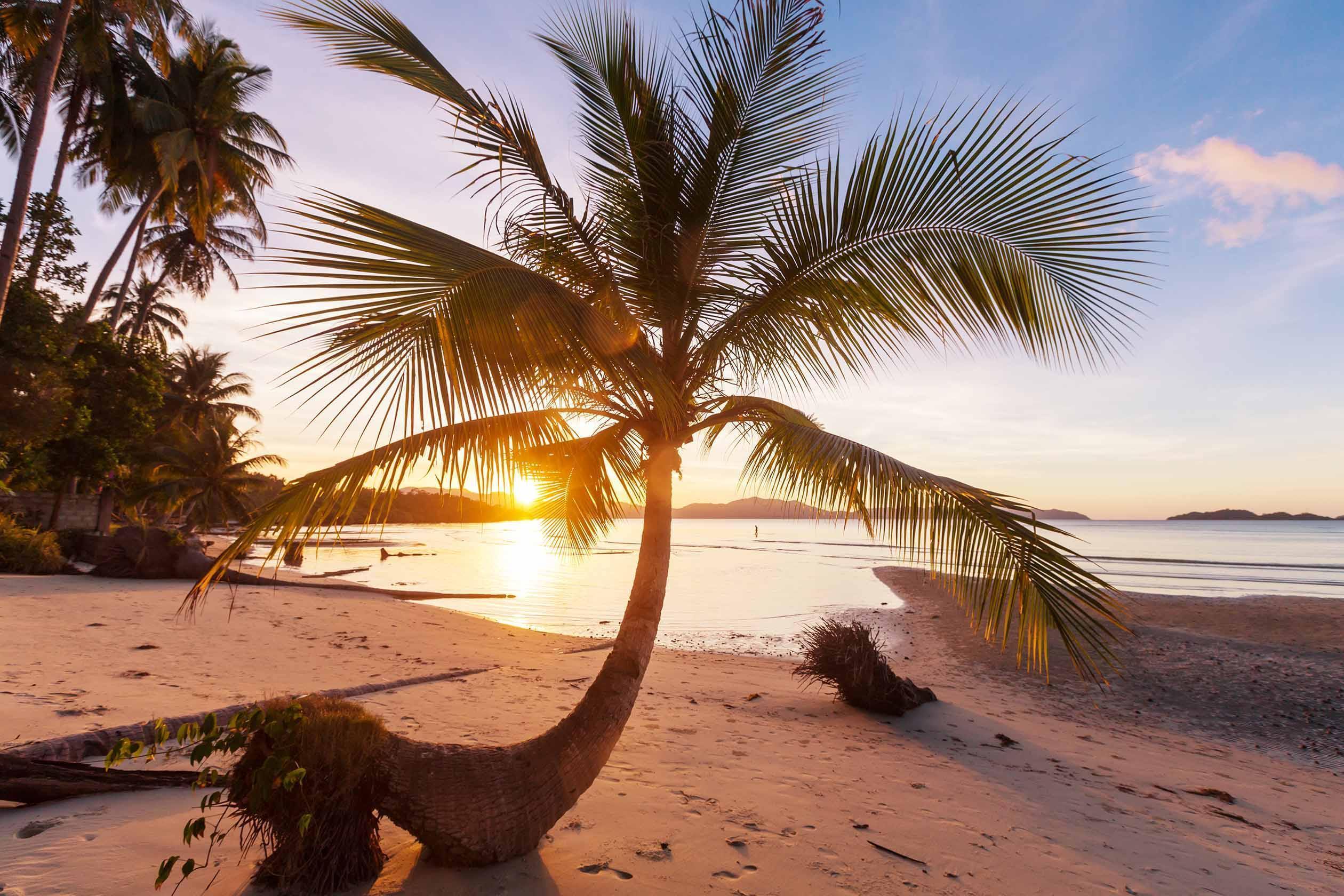 Tropical Beach Sunrise Wall Mural-Wall Mural-Eazywallz