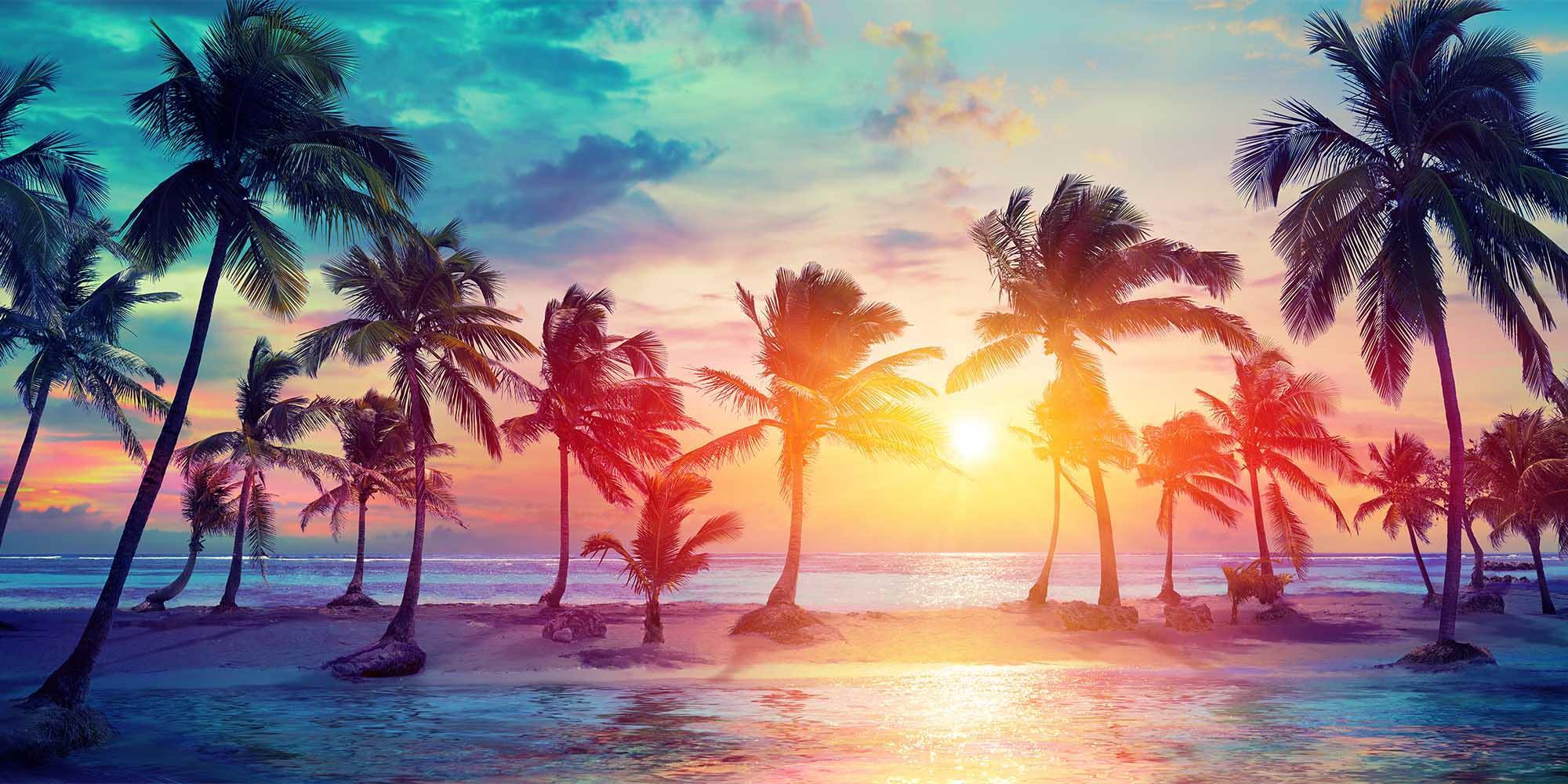 Tropical Sunset Paradise Wall Mural-Wall Mural-Eazywallz