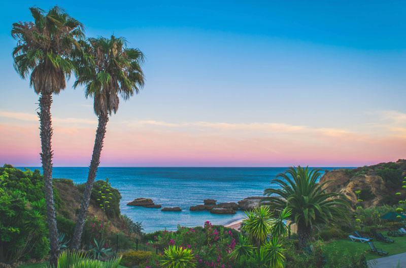 Tropical Vacation Wall Mural-Wall Mural-Eazywallz