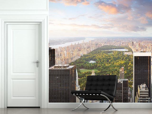 View of Central Park Wall Mural-Wall Mural-Eazywallz