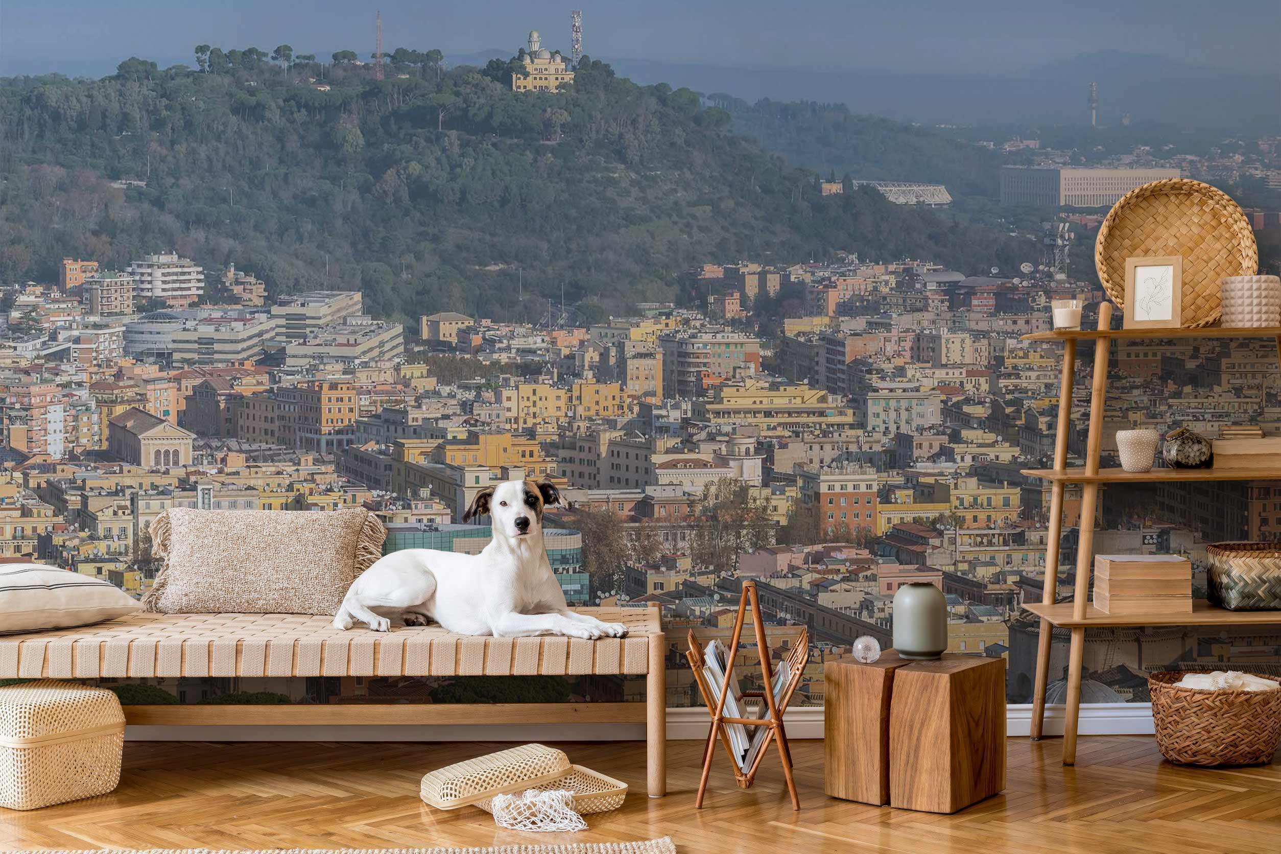 View of Rome Wall Mural-Wall Mural-Eazywallz