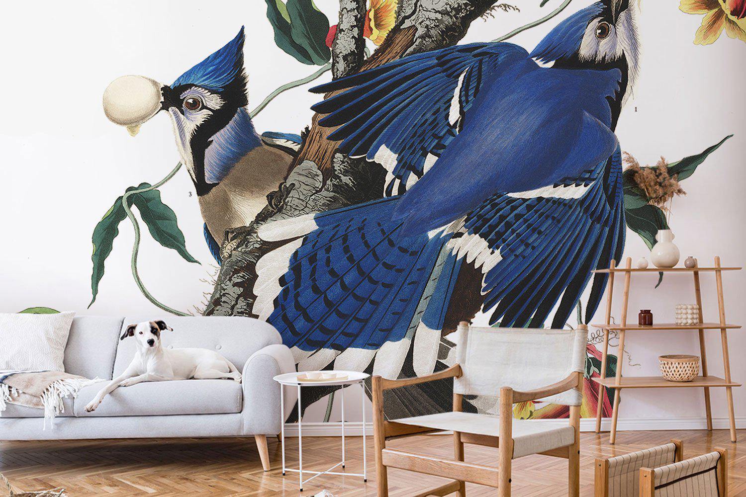 Vintage Blue Jays Wallpaper Mural-Wall Mural-Eazywallz