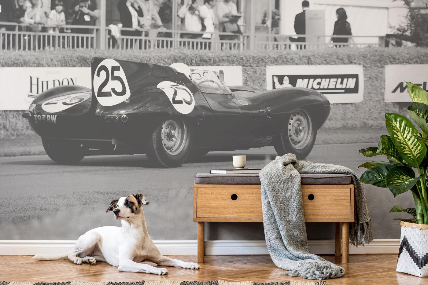 Vintage Sports Car 3 Wall Mural-Wall Mural-Eazywallz