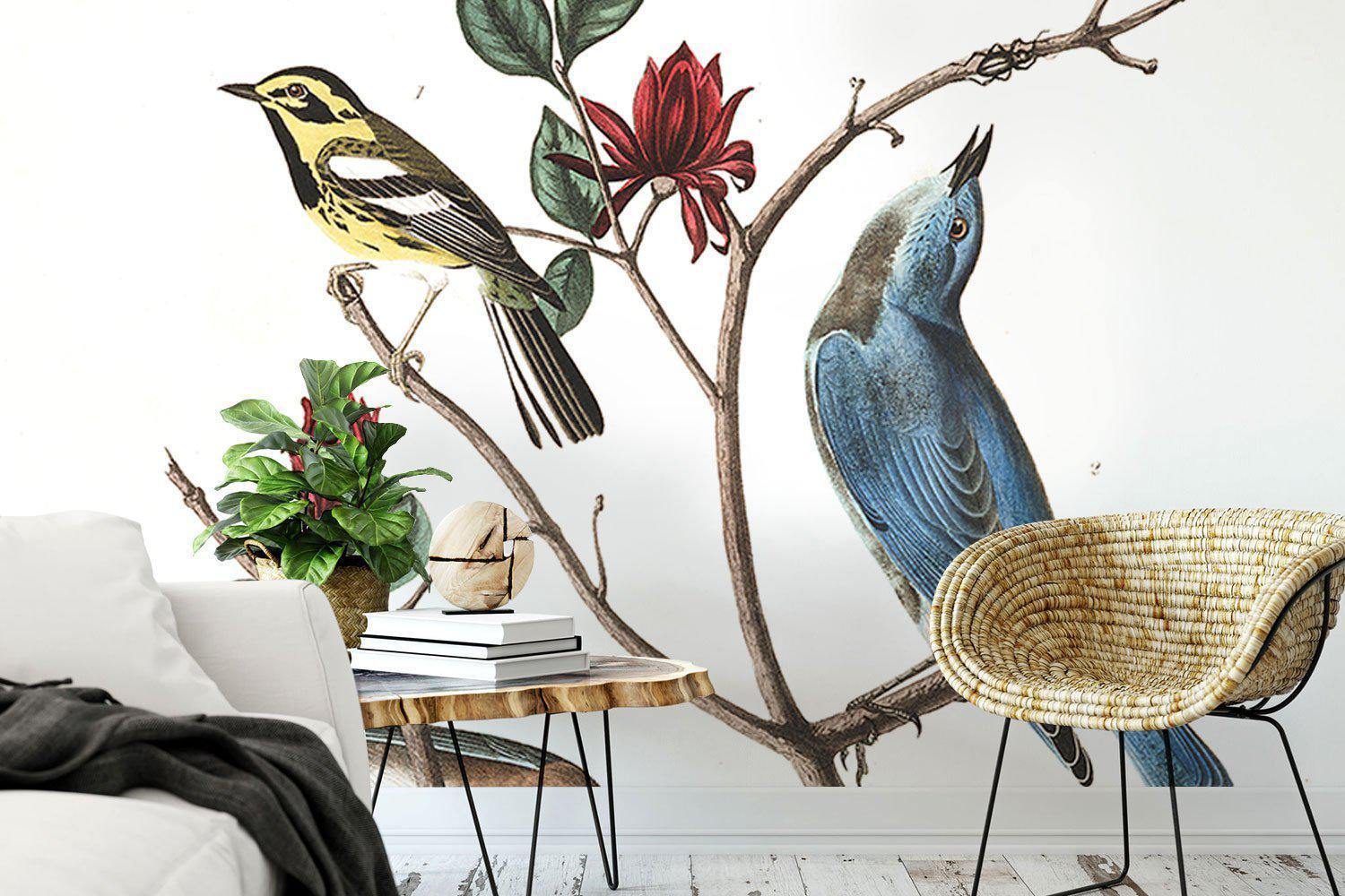 Vintage Warbler Bird Wall Mural-Wall Mural-Eazywallz
