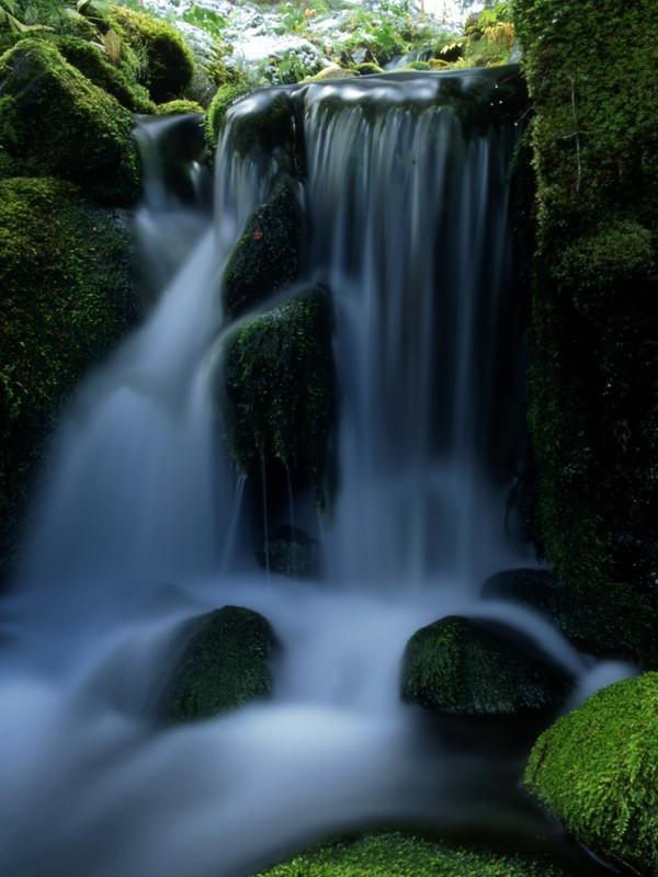 Waterfall in forest Wall Mural-Wall Mural-Eazywallz