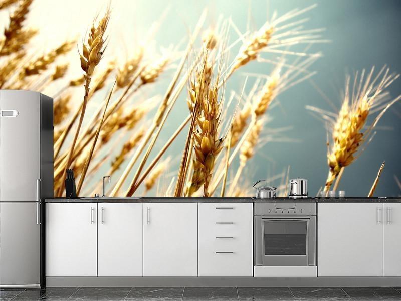 Wheat Wall Mural-Wall Mural-Eazywallz