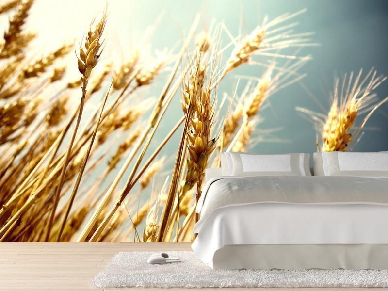 Wheat Wall Mural-Wall Mural-Eazywallz