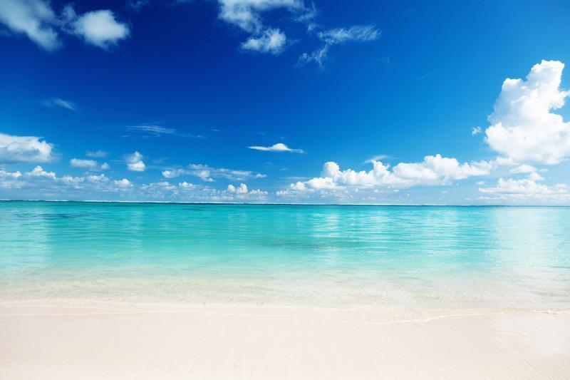 White Sand Beach Wall Mural-Wall Mural-Eazywallz