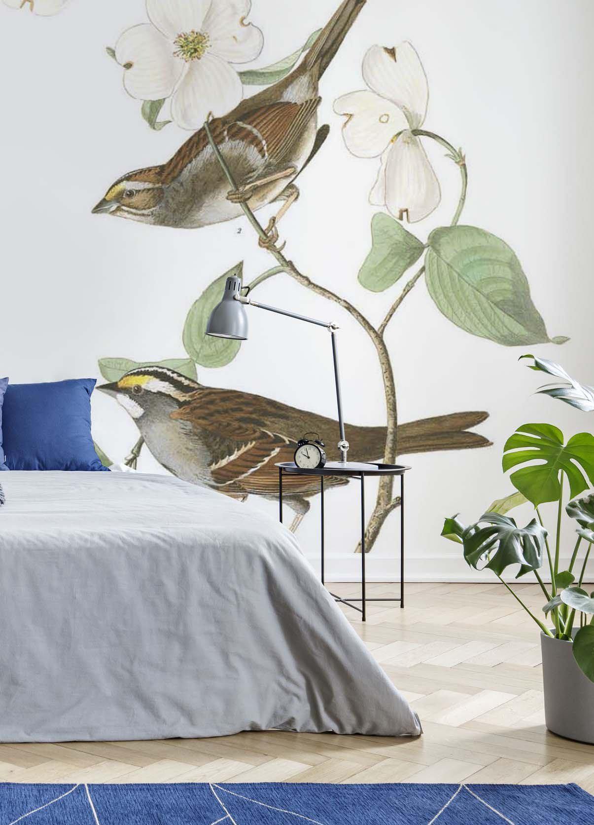 White Throat Sparrow Wall Mural-Wall Mural-Eazywallz