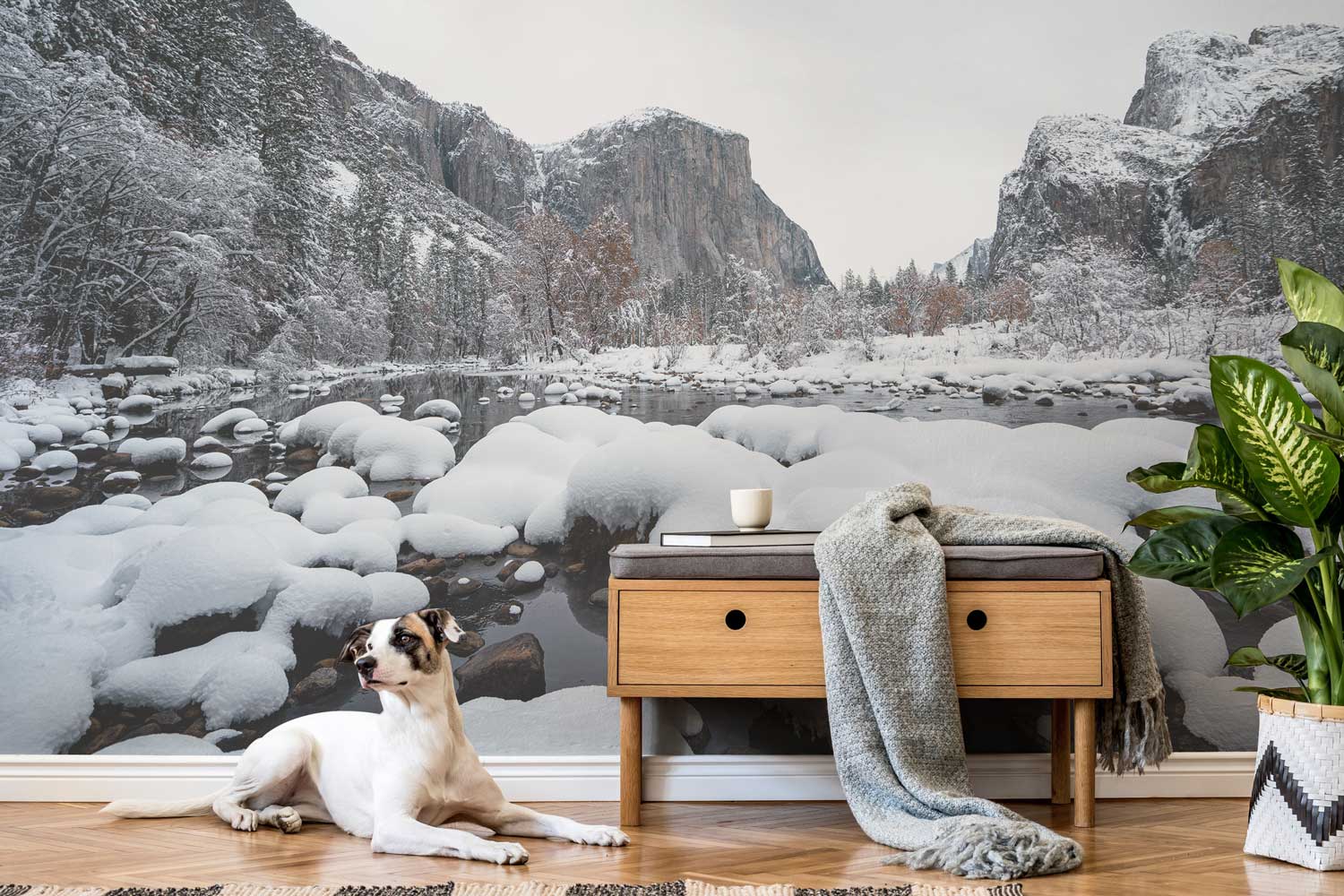 Winter in Yosemite Wall Mural-Wall Mural-Eazywallz