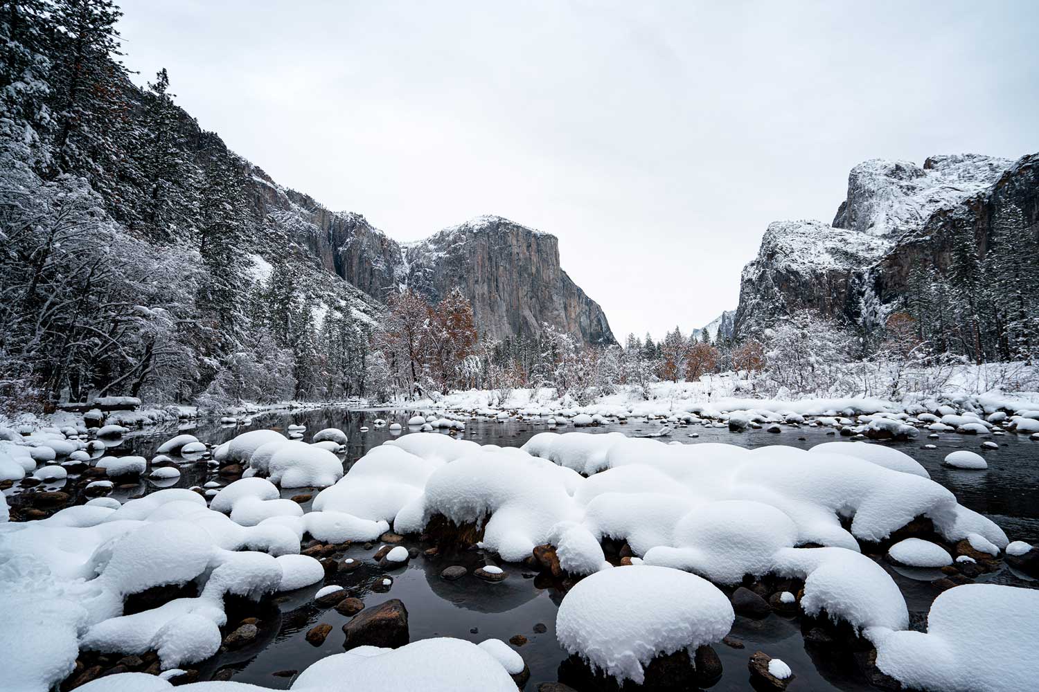 Winter in Yosemite Wall Mural-Wall Mural-Eazywallz