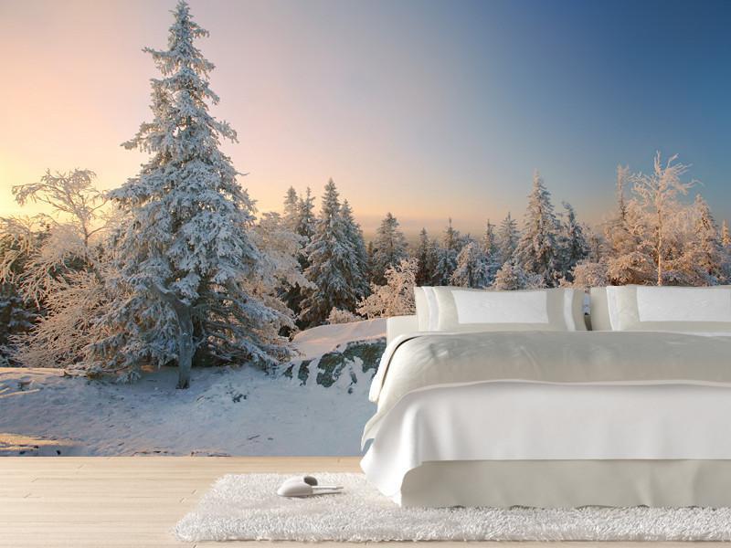 Winter landscape Wall Mural-Wall Mural-Eazywallz