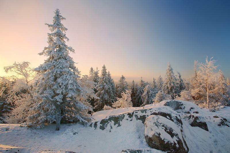 Winter landscape Wall Mural-Wall Mural-Eazywallz