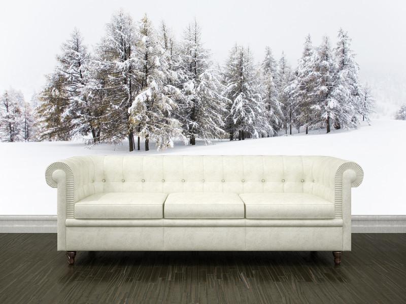 Winter woods Wall Mural-Wall Mural-Eazywallz